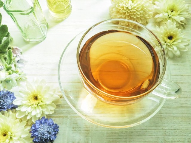 サロンの温かい雰囲気