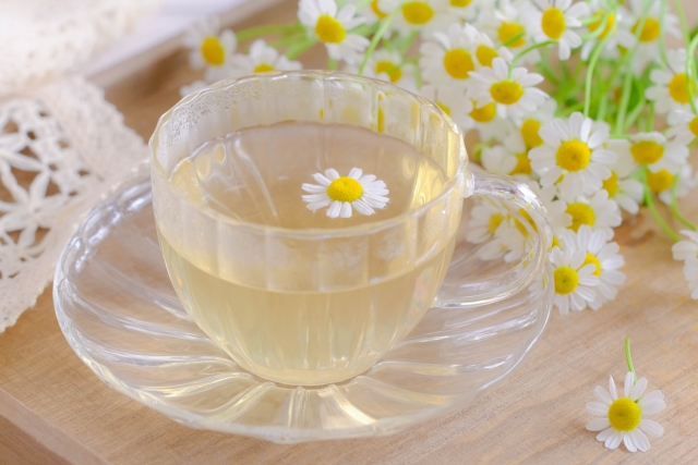 温かい光とお茶のある居心地の良い空間